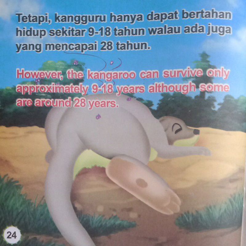 Buku Dongeng Cerita Kangguru Seri Mengenal Binatang / Bilingual