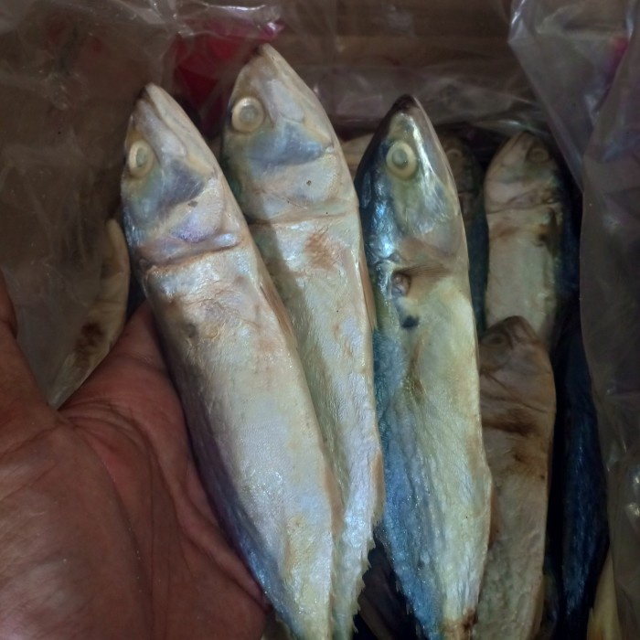 

Q12Sa Ikan Asin Peda Putih Per 500Gr D51qs448