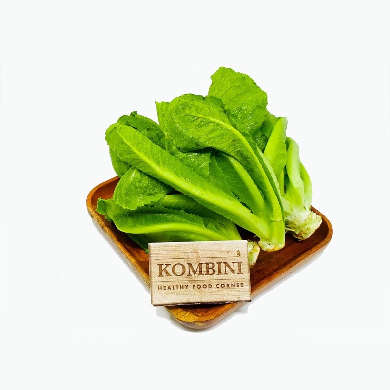 

Selada Romaine