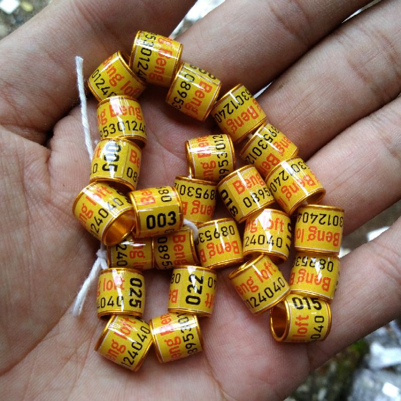 RING MERPATI CUSTOM NAMA | RING MERPATI REQUEST NAMA SENDIRI