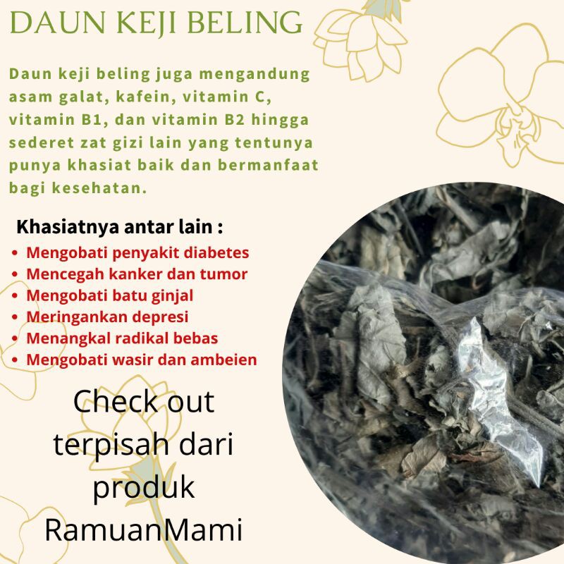 

Daun Keji Beling