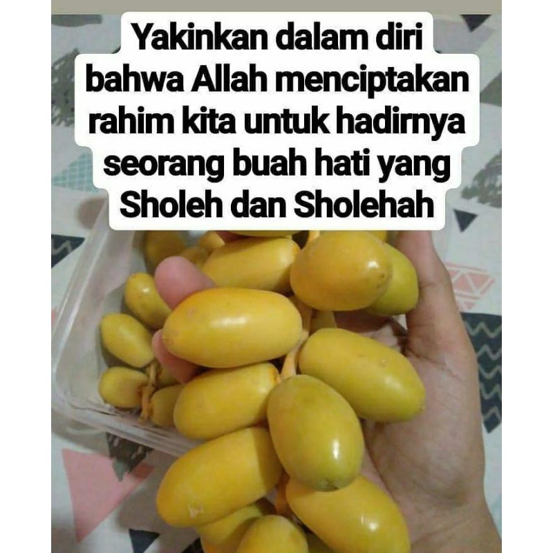 

kurma muda / ruthob kuning