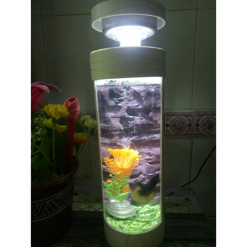 Aquarium Ikan Hias Minimalis 3D