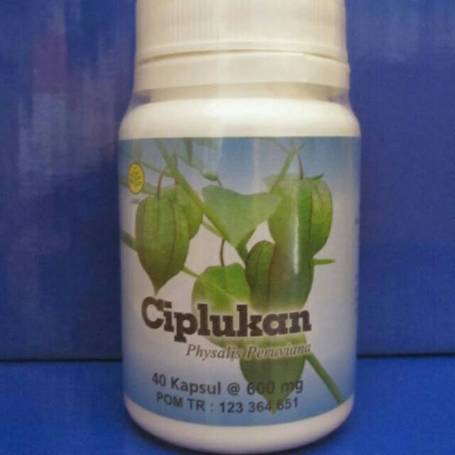 Herbal Ciplukan Untuk Mengobati Prostat Hipertiroid Pembengkakan Kelenjar Getah Bening Shopee Indonesia