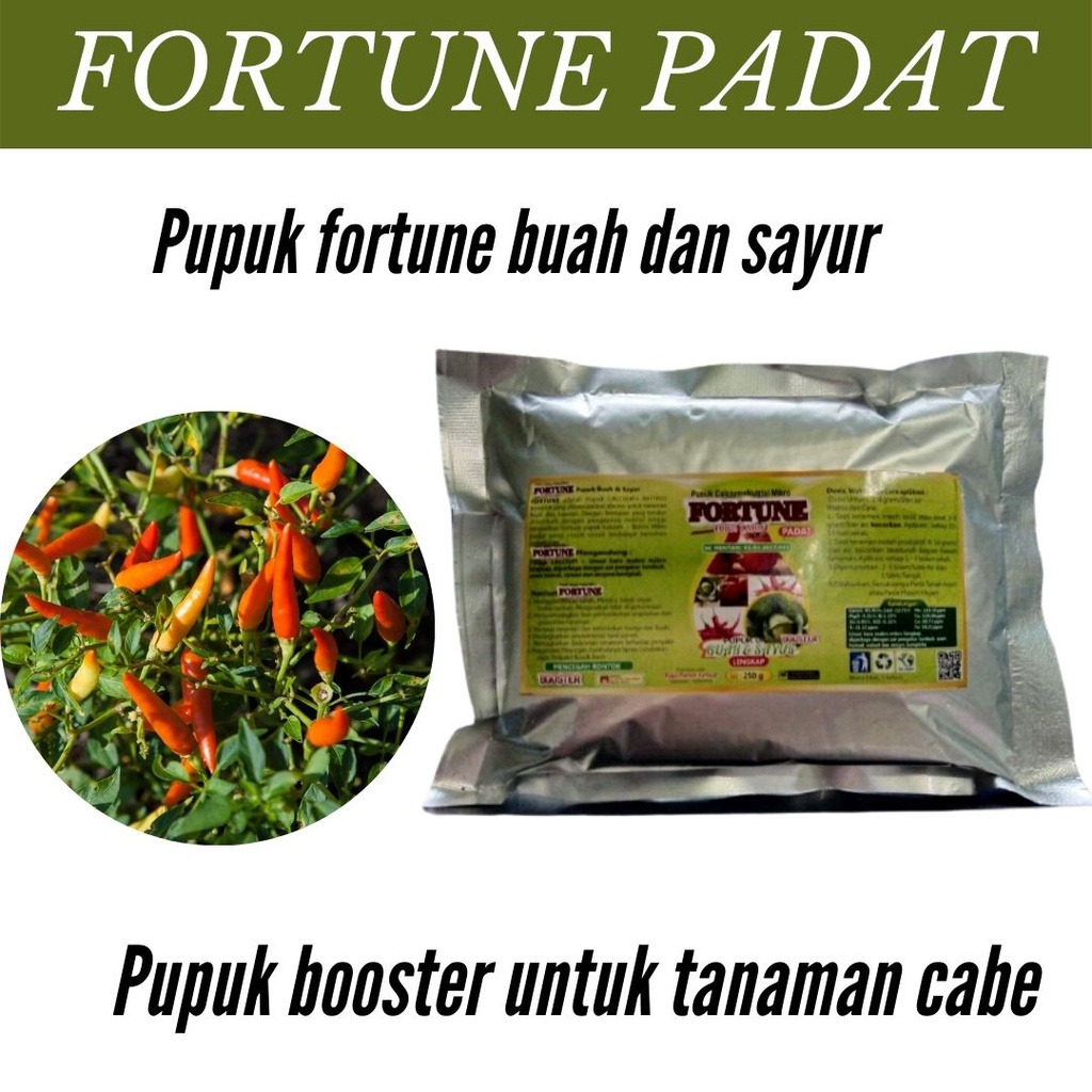 Pupuk Penyubur Daun Cabe - Biodjava - Pupuk Cabe Merah Yang Bagus - Nutrisi Alami Untuk Tanaman Cabe