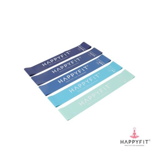 HAPPYFIT RESISTANCE BAND BLUE RESI66