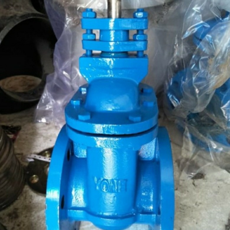 Gate valve 6" resilient pn16 Feji