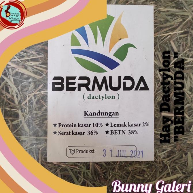 Hay Dactylon "Bermuda" Kemasan 2 Kg Promo