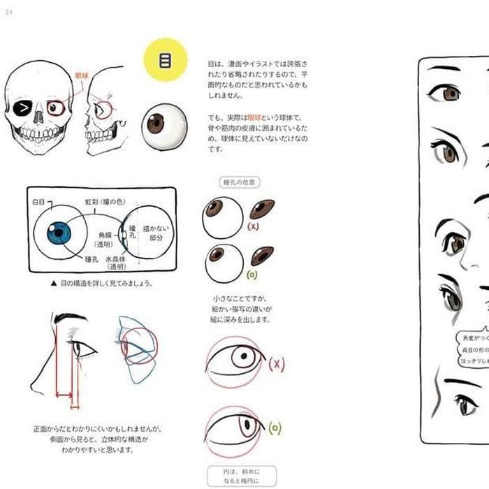 ( Buku Import ) Drawing / Illustration Tutorial Book by Park Reno