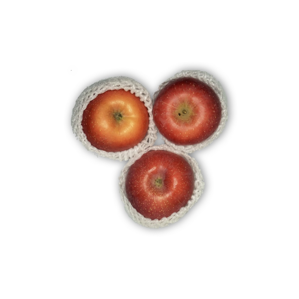 

APEL FUJI PREMIUM PER KILOGRAM