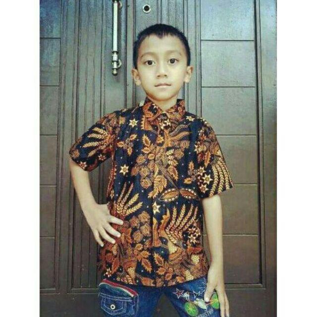 Kemeja Batik Anak Cowok Usia 4-10thn