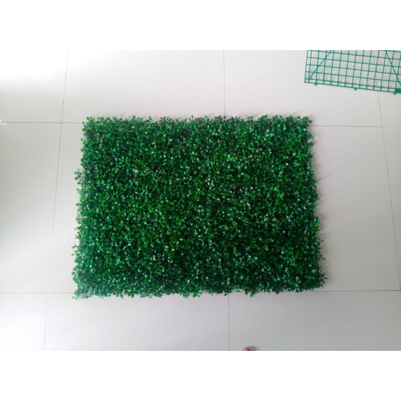 Dolar Sintetis Tanaman Penutup Dinding 40x60 cm