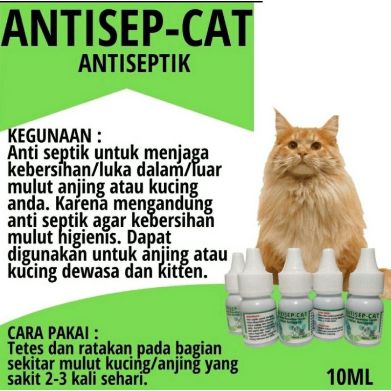 OBAT LUKA MULUT KUCING DAN ANJING ANTISEP CAT / OBAT KUCING ANTISEPTIK