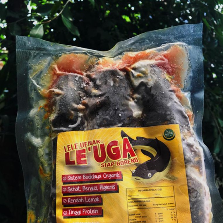 

Paket Murah 2 Pack Lele Siap Masak Bumbu Kuning