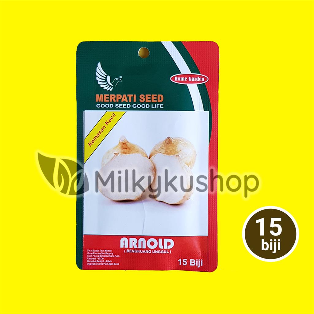 BENIH MERPATI SEED ARNOLD BENGKUANG 15 BIJI SACHET KEMASAN PABRIK