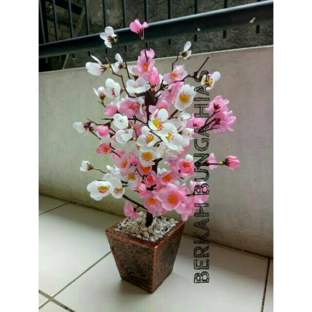 Bunga Hias Plastik Sakura Bunga Sakura Sakura Murah Shopee Indonesia