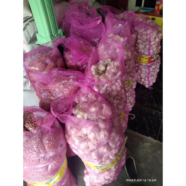 

bawang putih honan / bawang putih biasa