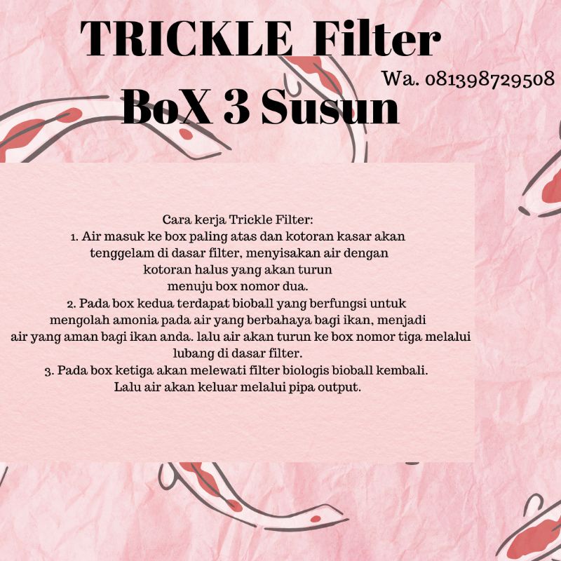 TRICKLE FILTER KOLAM KOI DENGAN BOX FILTER 3 SUSUN MINI