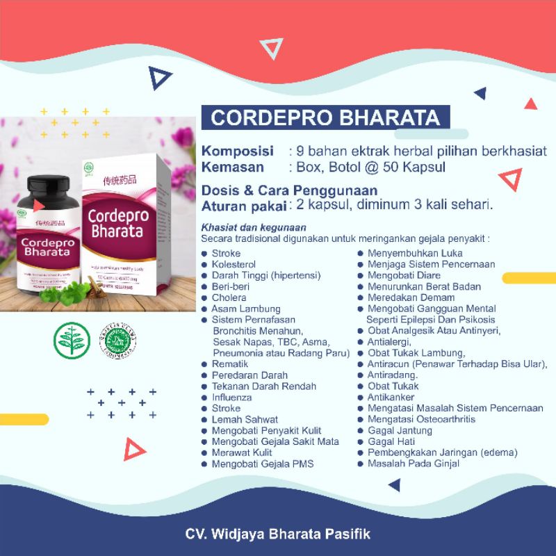 cordepro bharata herbal original