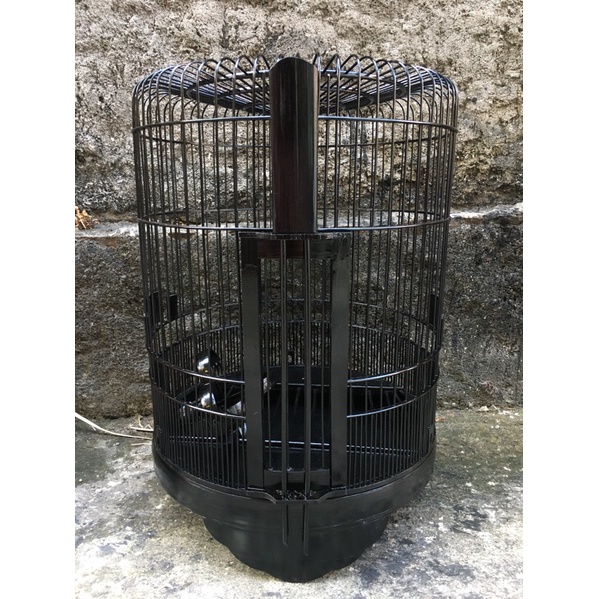 Sangkar wambi dan anis D40