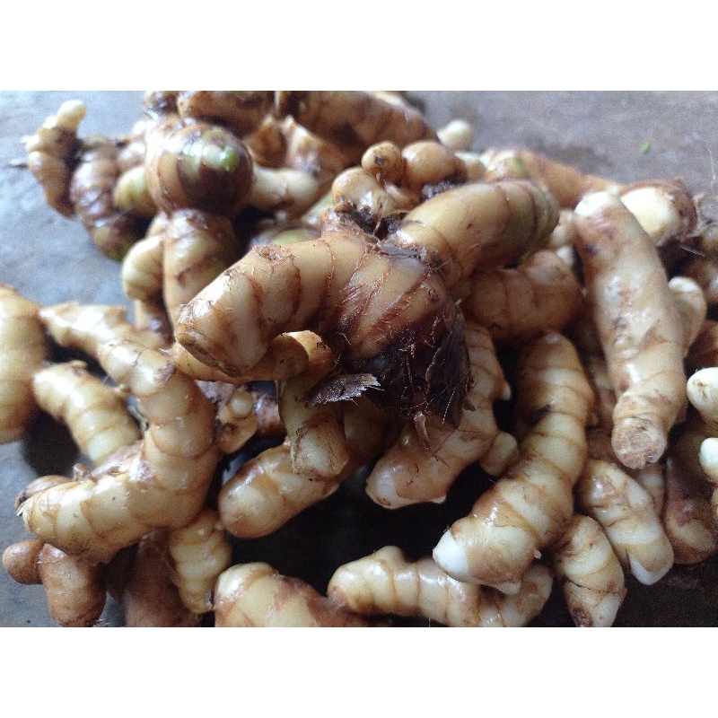 

Temu putih segar - Kunyit putih organik 1kg