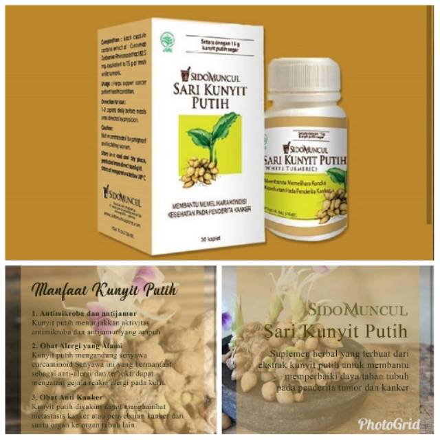 Sidomuncul Sari kunyit putih