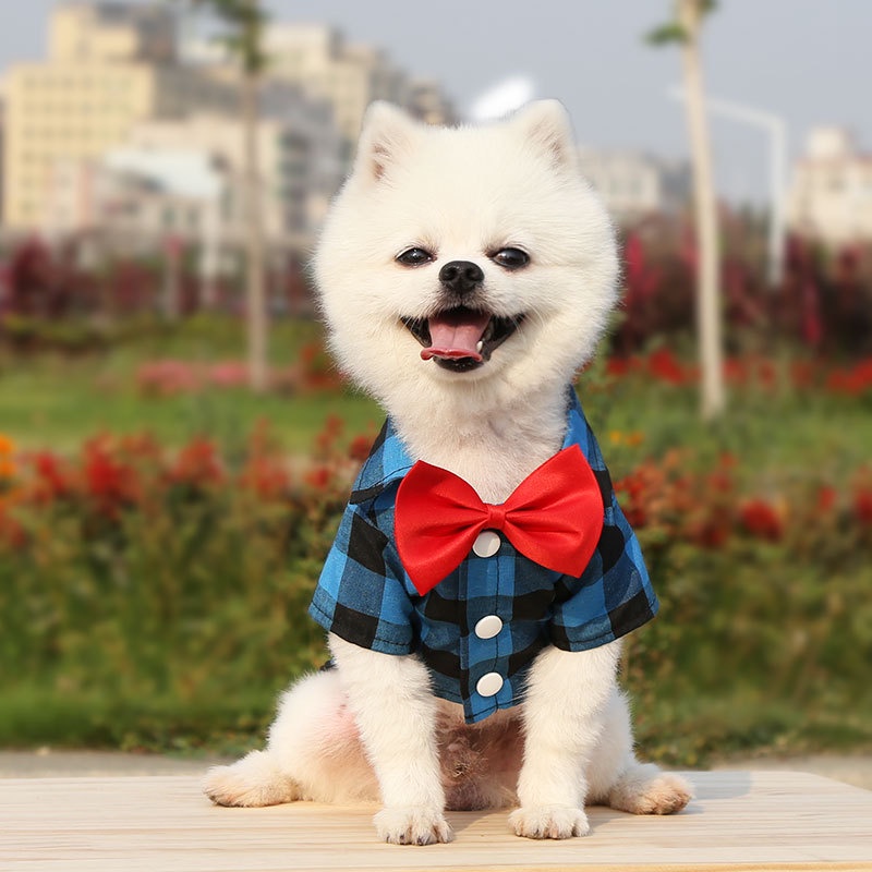 Yufei Kemeja Tuxedo Motif Kotak-Kotak Aksen Dasi Kupu-Kupu Untuk Anjing / Kucing Peliharaan