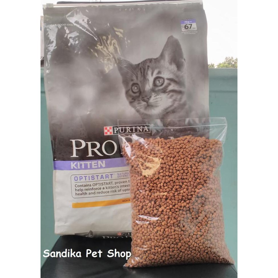 Harga Special Promo Makanan Kucing Cat Food Proplan Kitten