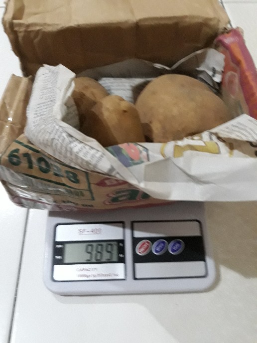 Kentang Dieng Super Jumbo (1kg)