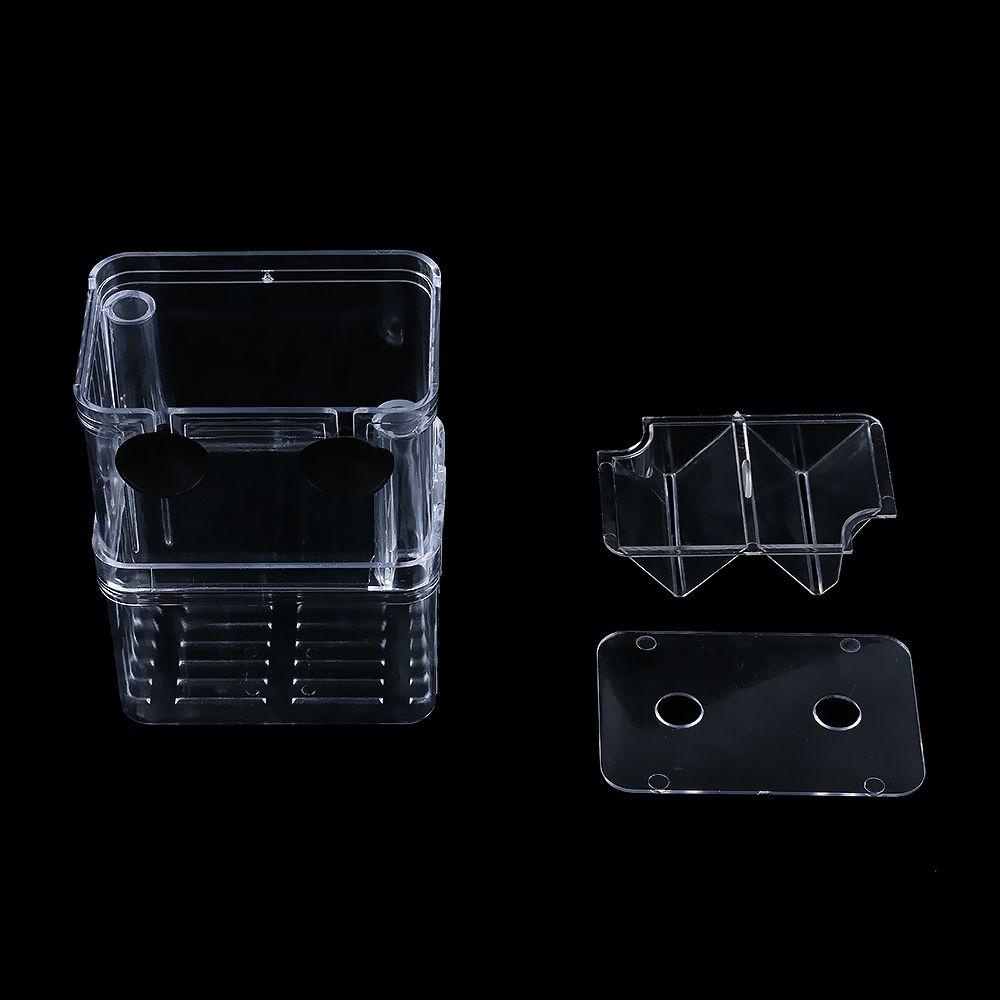 Suyo Kotak Tempat Penetasan Ikan Transparan Dengan Suction Cup Untuk Akuarium