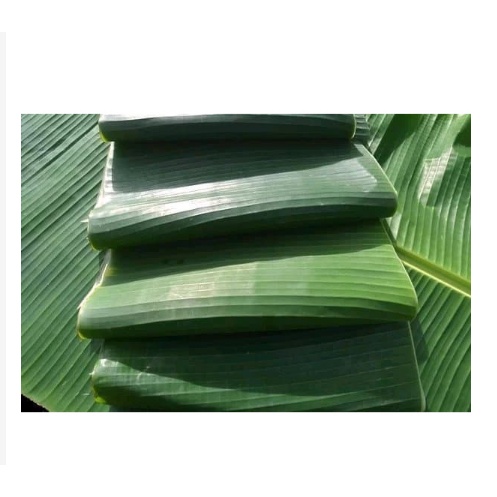 

DAUN PISANG MAS 100% ASLI BERAT 1KG