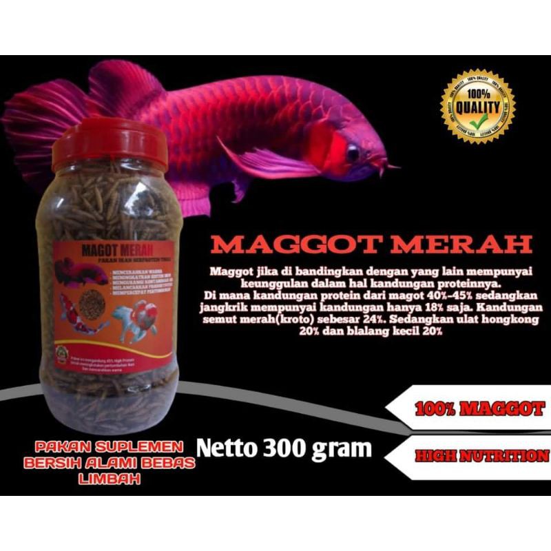 RED MAGGOT MAGOT WITH BETA CAROTINE KERING TERMURAH ISI 3 ONS pakan ikan koi louhan arowana SG dll