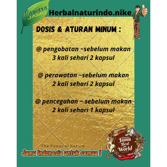 Obat herbal ampuh pengencer darah obat herbal ampuh melancarkan peredaran darah obat herbal ampuh penyumbatan obat herbal ampuh kesemutan dan kebas obat herbal alami penyumbatan asli tumbuhan BV-FLOW NATURINDO-4