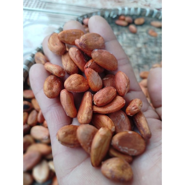 

biji buah kakau kering 500grm