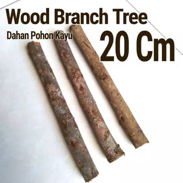 Wood Branch Tree 1-2x20 Cm Dahan kayu potongan kayu bahan craft dekor