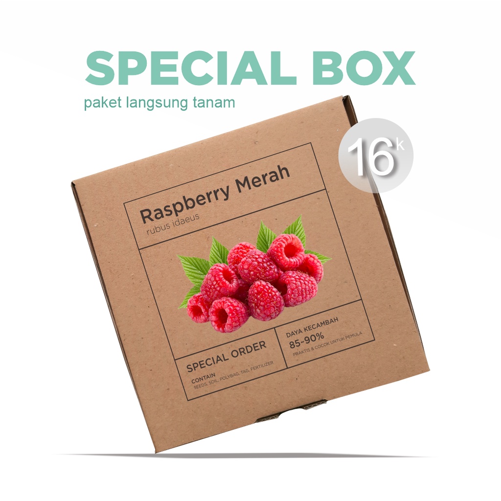 Paket Langsung Tanam - Gardening Kit - SPECIAL BOX - Benih Red Raspberry Merah Berry Berries Buah Beri Seeds