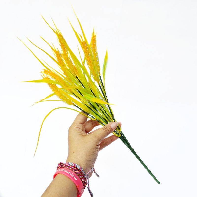 Daun gandum / bunga gandum tangkai / tanaman hias daun gandum