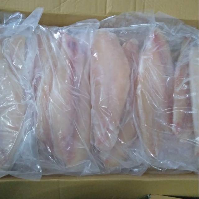 

IKAN DORI 1 kg