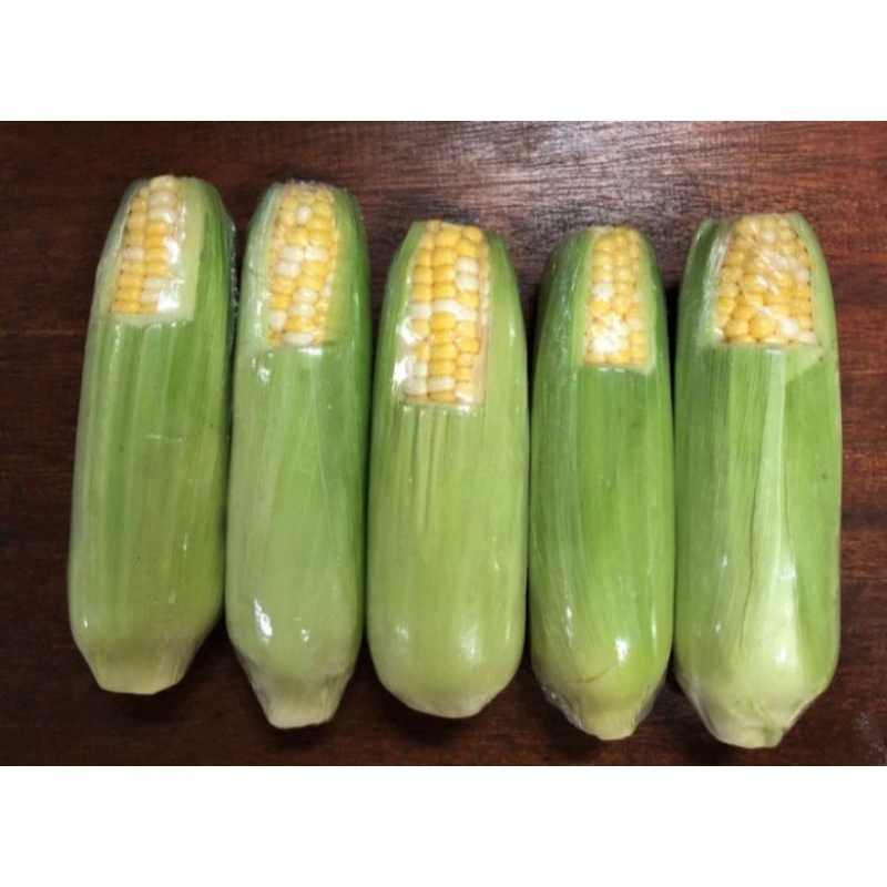 Jagung Hokkaido Tomorokoshi / honey corn 2 pcs