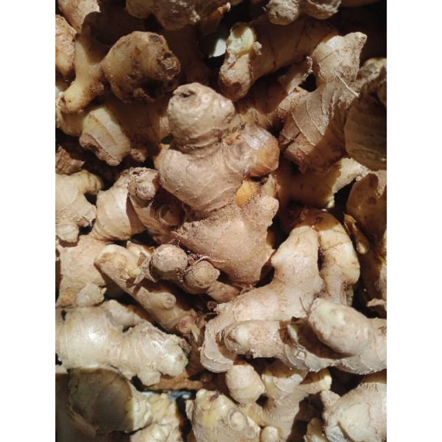 

Jahe kualitas baik kab.kediri 1000gram