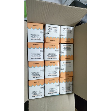Becom Zet (Vitamin+Mineral+Zink) Original Asli