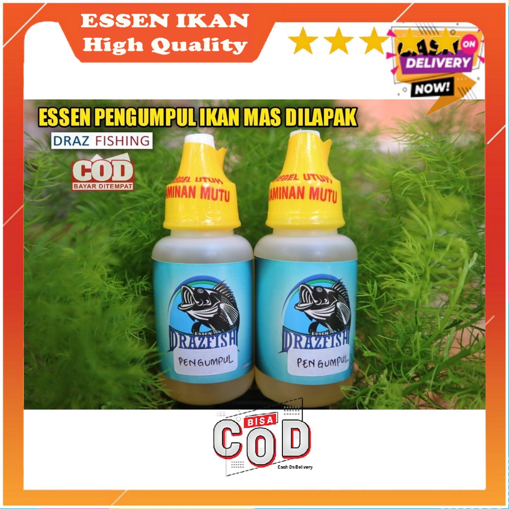 COD UMPAN IKAN Essen Pengumpul Ikan Mas Dilapak Paling Bagus