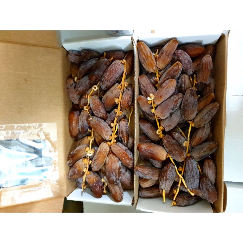 Kurma Palm tangkai DATES 3 kotak// tunisia tangkai exp KEMASAN DUS 2024