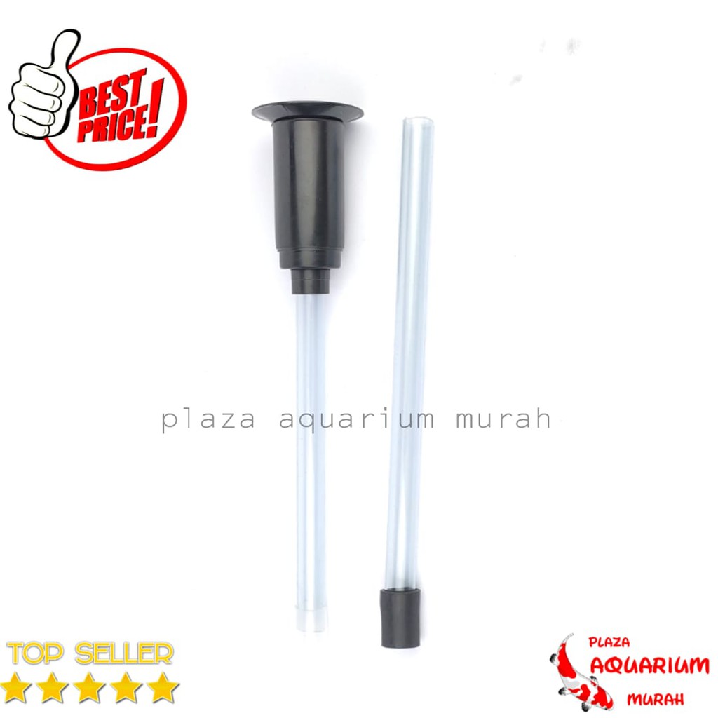 PIPA AIR MANCUR MODEL JAMUR CROWN