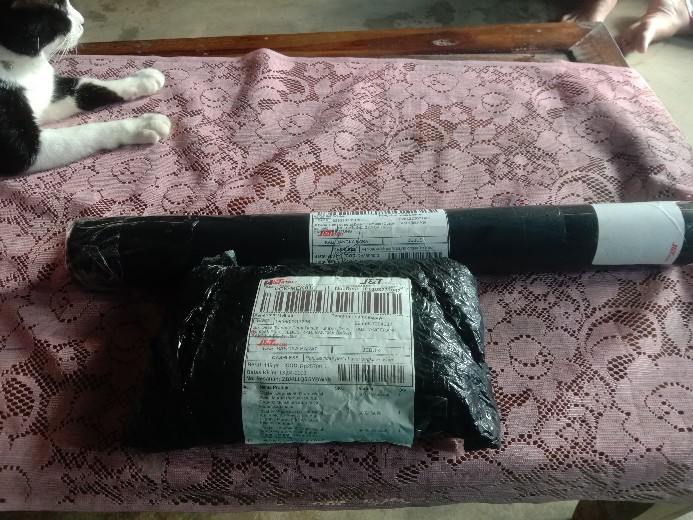 Wallpaper Mtf Keropi Ijo Gh121(kolian 29rb)