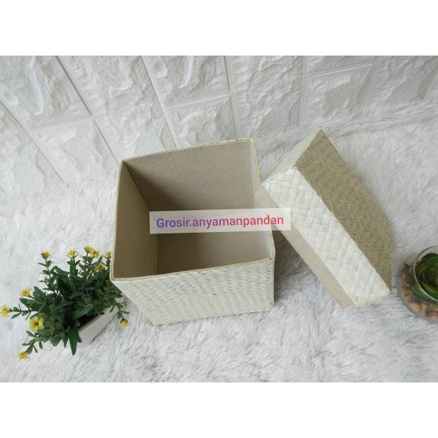 

BOX PANDAN TERMURAH (KODE J1177)