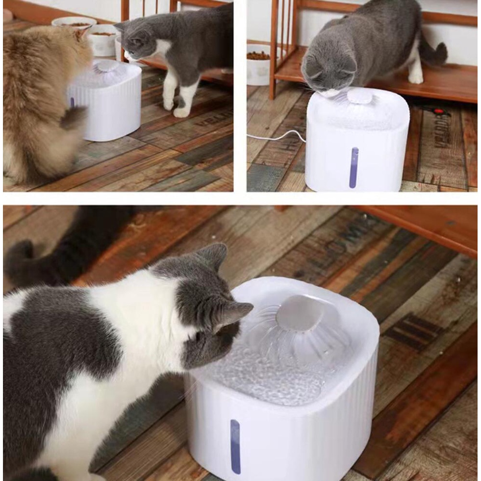 Dispenser Tempat Minum Kucing Anjing Otomatis Pet Water Dispenser Fountain Tempat Minum Kucing  Anjing Drinking Bowl 3 Liter Air Mancur Minum Hewan Peliharaan