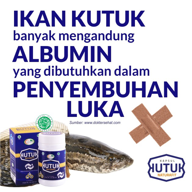 Kapsul Kutuk Hi-Min | Kutuk Premium Albumin Pengering Luka Bakar Diabet Luka Pasca Operasi - Naturafit BPOM