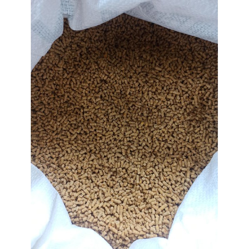 Pakan ayam / Pokpan ayam pro hi vite 512