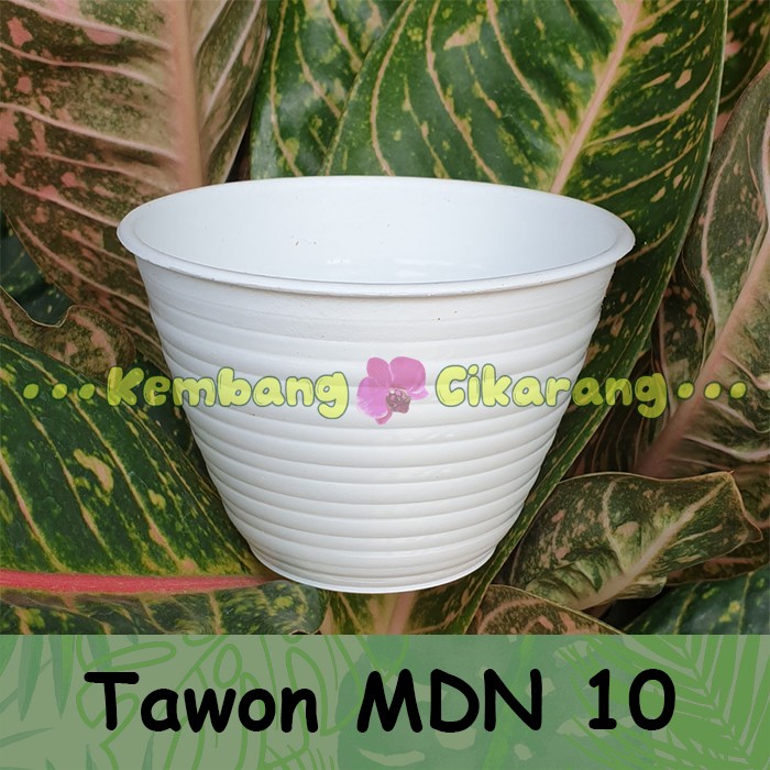 (LUSINAN) MDN TAWON UK 10 (10cm) (12pcs) Pot bunga model tawon kecil mungil murah cantik warna warni